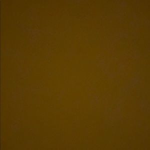 Meet your Posher, Dusti